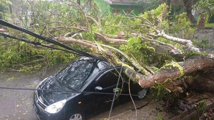 Hujan Disertai Angin Kencang di Enrekang, Mobil Suzuki Karimun Tertimpa Pohon Tumbang