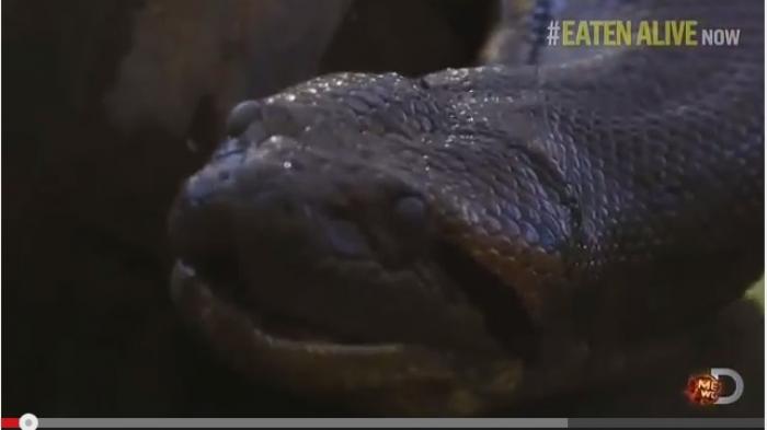 U chindan ham sikni yaxshi koradi