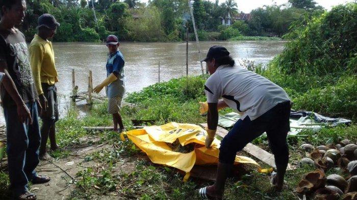 Nenek Ditemukan Tewas di Sungai Walanae Bone Ternyata Orang Luwu