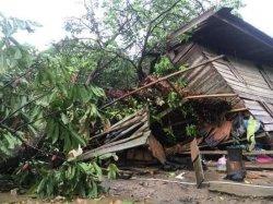 Puluhan Rumah Rusak dan Satu Orang Meninggal Akibat Angin Puting Beliung di Luwu