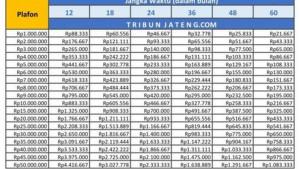 1Tabel-pinjaman-KUR-BRI-2025-plafon-Rp-1-juta-sampai-Rp-50-juta.jpg