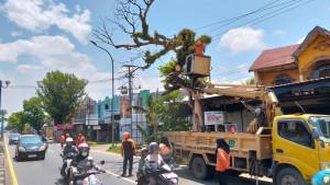 2025-10-27-pemangkasan-pohon.jpg
