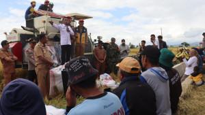 20250908-Panen-Raya-di-Sidrap.jpg