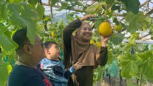 20250912_PETIK-BUAH_petik-buah-di-desa-Argowisata-2025.jpg