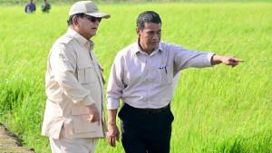 20251010_PRABOWO-TUNJUK-AMRAN_prabowo-tunjuk-amran-sulaiman-jadi-kepala-badan.jpg