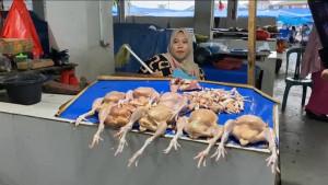 20251023-Penjual-daging-ayam-potong-di-Pasar-Sentral-Bulukumba.jpg