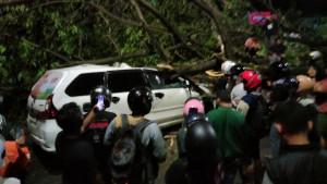 20251027_LALU-LINTAS-LUMPUH_lalu-lintas-Urip-sumoharjo-terhambat-karena-pohon-jatuh.jpg
