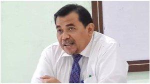 BUMDES-Pengamat-Pemerintah-Bastian-Lubis.jpg