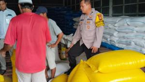 HASIL-PANEN-JAGUNG-PALOPO-20251006.jpg