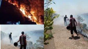 Hutan-Pinus-Jeneponto-Terbakar-2023.jpg