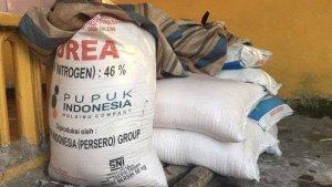 Ilustrasi-pupuk-jatah-pupuk-subsidi-di-amros.jpg
