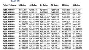 KUR-BRI-2025-Tabel-pinjaman-KUR-BRI-2025-Tabel-angsuran-KUR-BRI-2025.jpg