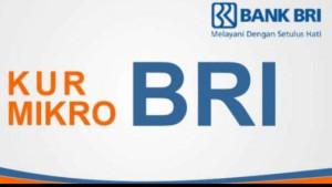 KUR-BRI-Pelaku-UMKM-diberi-kesempatan-besar.jpg