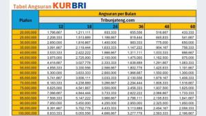 KUR-BRI-Tabel-Angsuran-KUR-BRI-2025-Rp-20-Juta-hingga-Rp-100oo.jpg