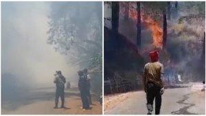 Kebakaran-terjadi-kawasan-Hutan-Pinus-Malino-Kecamatan-Tinggimoncong.jpg