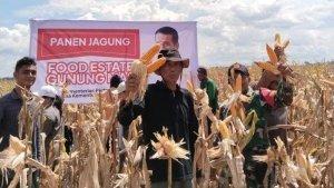 Kepala-Balai-BSIP-Kalimantan-Tengah-3122.jpg