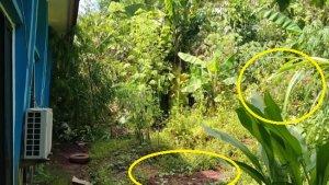 Kondisi-longsor-kecil-di-Kelurahan-Murante-Kecamatan-Mungkajang-Kota-Palopo.jpg