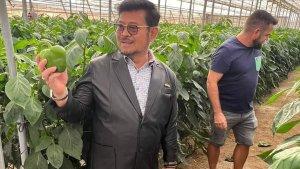 Menteri-Pertanian-Syahrul-Yasin-Limpo-3-29992023.jpg