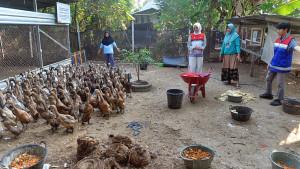 PEMBERIAN-PAKAN.jpgPakan-Bebek-sisa-MBG.jpgPanen-Telur-Bebek.jpgPRODUKSI-TELUR-ASIN-ae.jpgHasil-Produksi-telur-asin.jpg