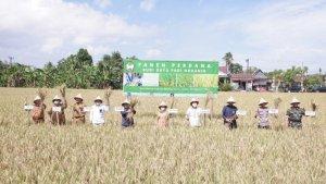 Panen-padi-organik-di-Bajeng.jpg