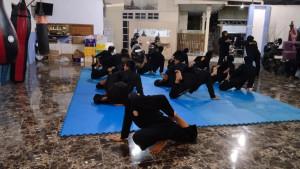 Potret-altet-pancat-silat.jpg