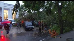 Potret-pohon-tumbang-di-Jl-Andi-Pallawarukka-2025-55.jpg
