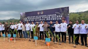 Sebanyak-10000-pohon-kelapa-ditanam-serentak-di-enam.jpg