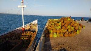 Sebanyak-600-tabung-gas-Elpiji-3-kg-berhasil-diselamatkan-saat-KLM-Cahaya-Andika.jpg