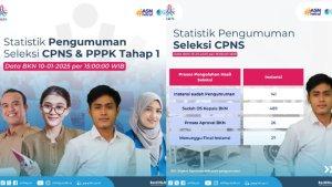 Statistik-terbaru-pengumuman-Seleksi-CPNS-2024-342.jpg