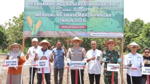 TANAM-JAGUNG-KUARTAL-IV.jpg