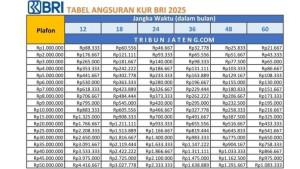 Tabel-Angsuran-KUR-BRI-2025-Rp1-50-Juta-TribunJateng1.jpg