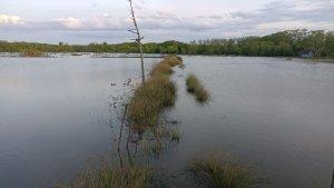 Tambak-warga-terendam-banjir-rob-di-Tongke-tongke-Sinjai-Timur.jpg