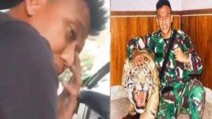 Terungkap-sosok-oknum-TNI-kuliti-harimau-pajangan-milik-komandannya.jpg