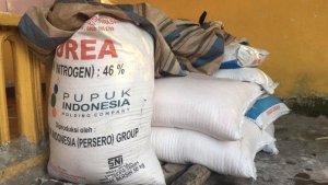 ilustrasi-pupuk-bersubsidi-jenis-urea-6112020.jpg