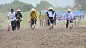 panen-raya-padi-dan-jagung-2024.jpg