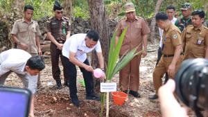 penanaman-pohon-serentak-1.jpg