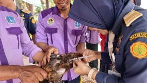polbangtan-gowa-pemda-bone.jpg