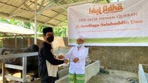 sapi-kurban-sandiaga-uno-khalwatiyah.jpg