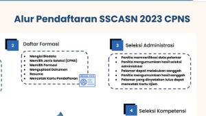 sscasnbkngoid-Login-Alur-Pendaftaran-CPNS-2023.jpg