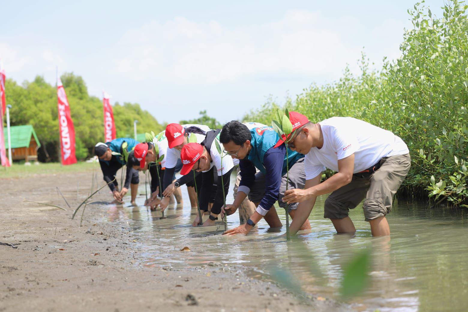 Hijaukan Pesisir Karawang, SC Squad AHM Tanam 12 Ribu Mangrove