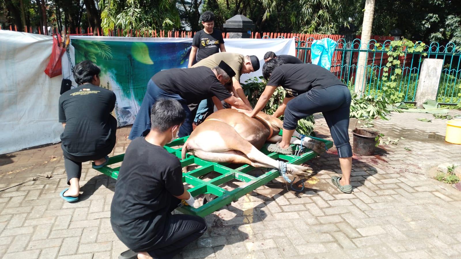 2026-05-27-KAMUPI-menyembelih-sapi-kurban.jpg