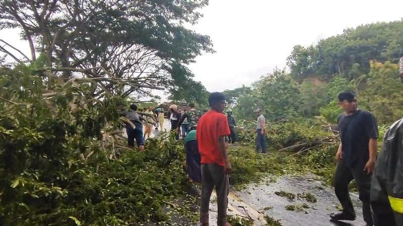 2026-21-januari-pohon-tumbang.jpg