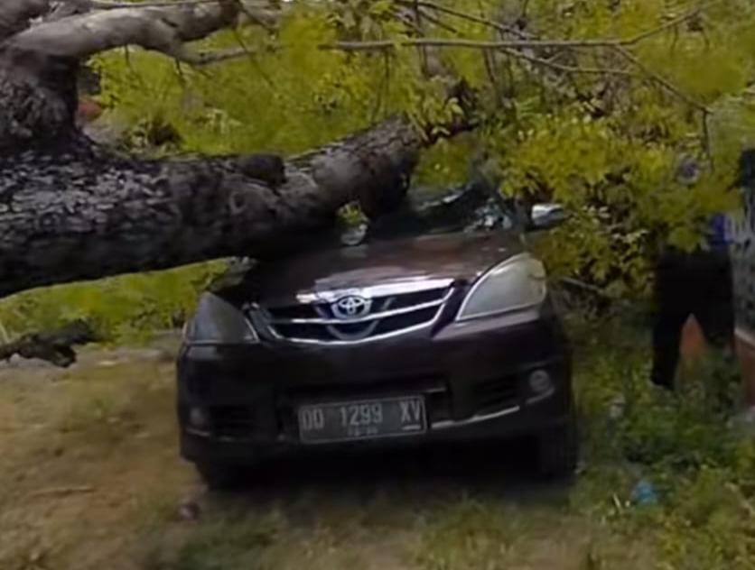 Cuaca Ekstrem Guncang Selayar, Mobil Warga Ditimpa Pohon Tumbang