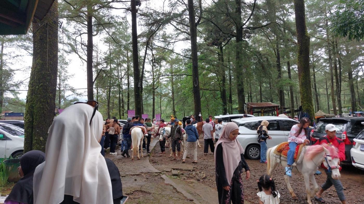 20260322-Hutan-Pinus-Malino.jpg