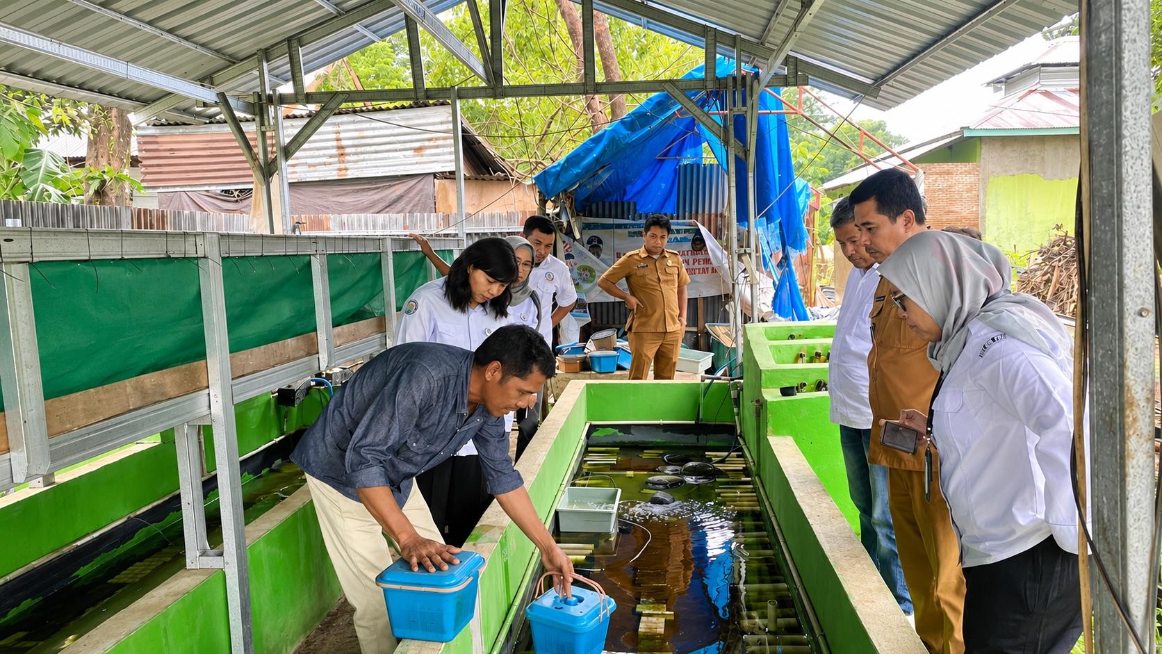 20260607-Budidaya-Lobster-Air-Tawar.jpg