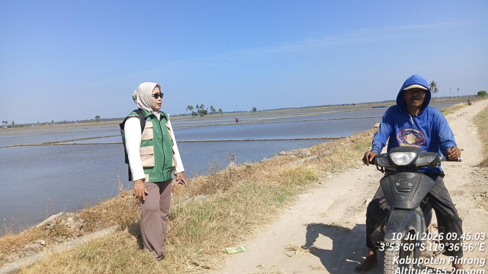 Debit Bendung Benteng Turun Drastis, 60.300 Hektare Sawah Pinrang Terancam Kekeringan - Tribun-timur.com