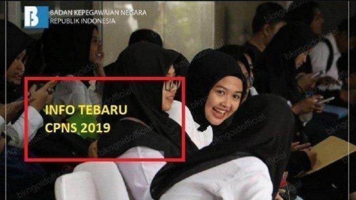 Bocoran BKN Jelang Rekrutmen CPNS 2019, dari Jadwal Lengkap, Formasi, hingga Link Pendaftaran Resmi