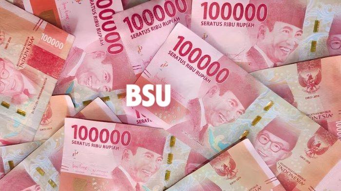 Penyebab BSU 2025 Belum Cair? Segera Cek Pesan dan Email