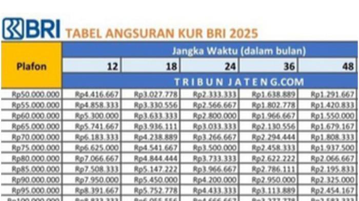 Pinjam Rp100 Juta KUR BRI Sekarang Dapat Cicilan Ringan, Simak Cara Daftar
