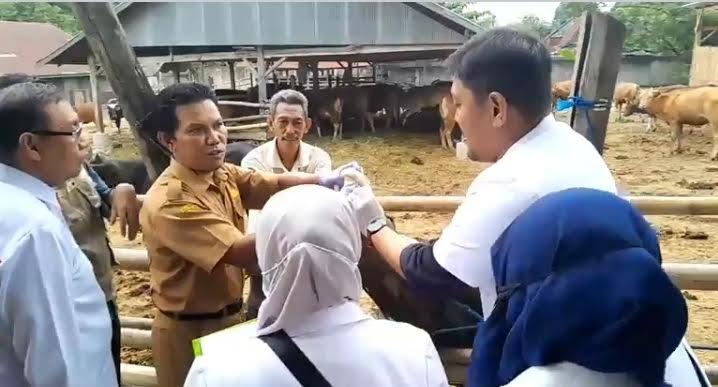 DPKP-Wajo-saat-vaksinasi-hewan-ternak-di-Kabupaten-Wajo-ju.jpg